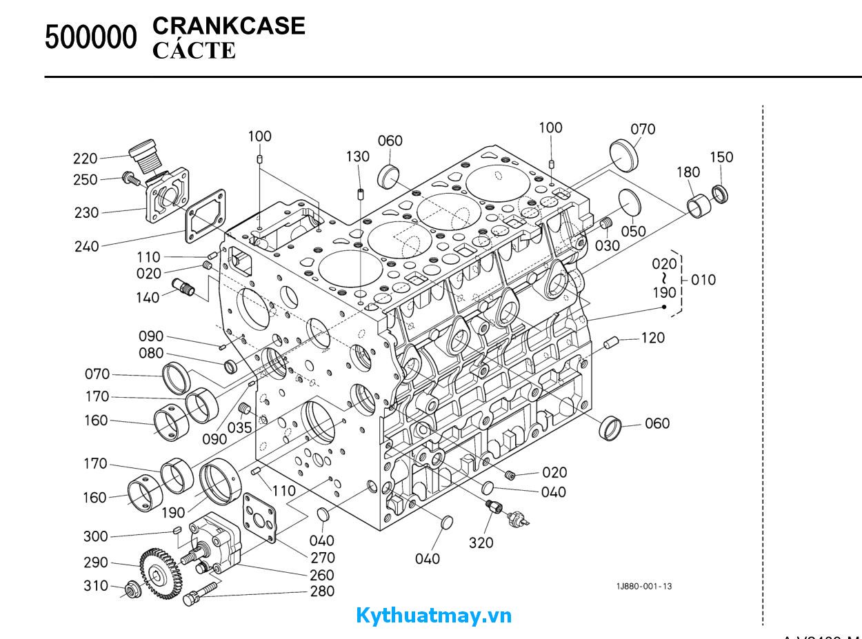 Cacte